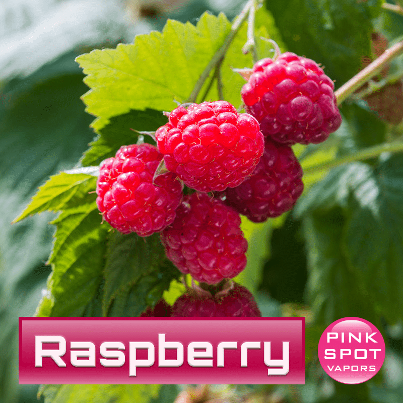 Raspberry Pink Spot Vapors E-Liquid